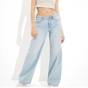 American Eagle Low Rise Baggy Skater Jean 0 Long